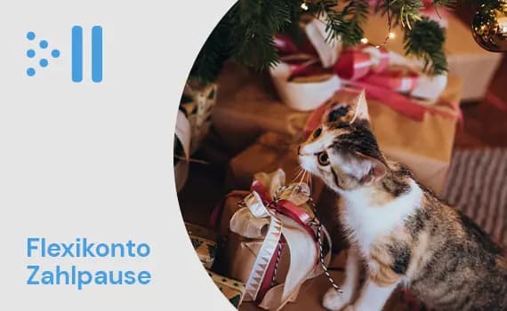 Flexikonto Zahlpause – Katze schnuppert an Geschenken unter einem Weihnachtsbaum
