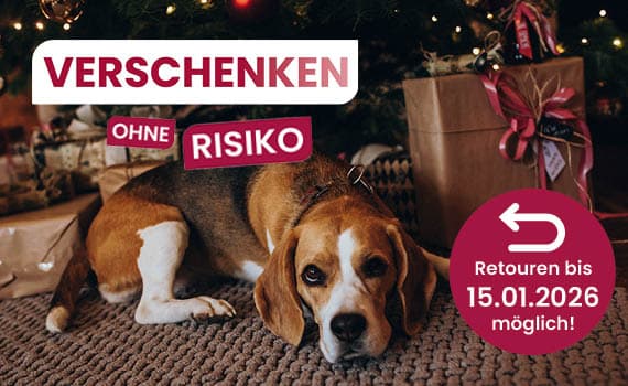 Verschenken ohne Risiko – Retourn bis 15.01.2026 möglich! Hund liegt vor Geschenken unter Weihnachtsbaum